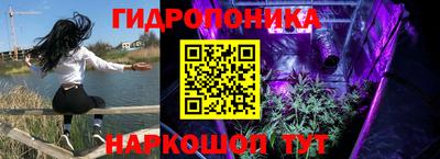 гидропоника Берёзовский