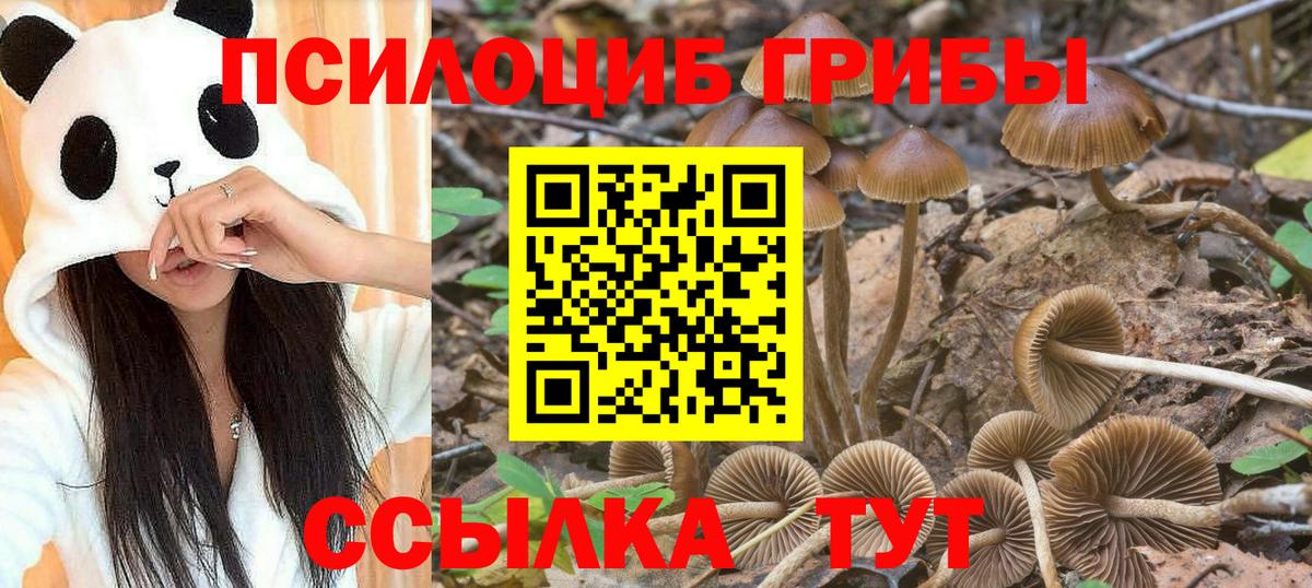 Псилоцибиновые грибы мицелий  Вход с VPN  Кунгур 