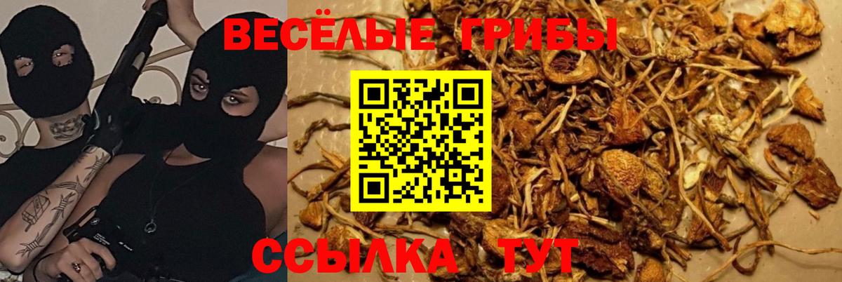 Псилоцибиновые грибы ЛСД Кунгур